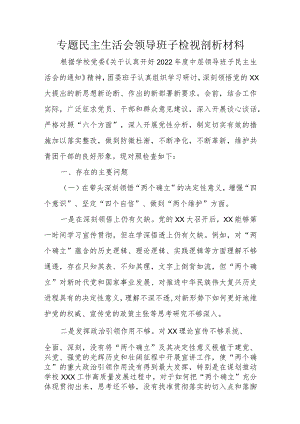 专题民主生活会领导班子检视剖析材料.docx