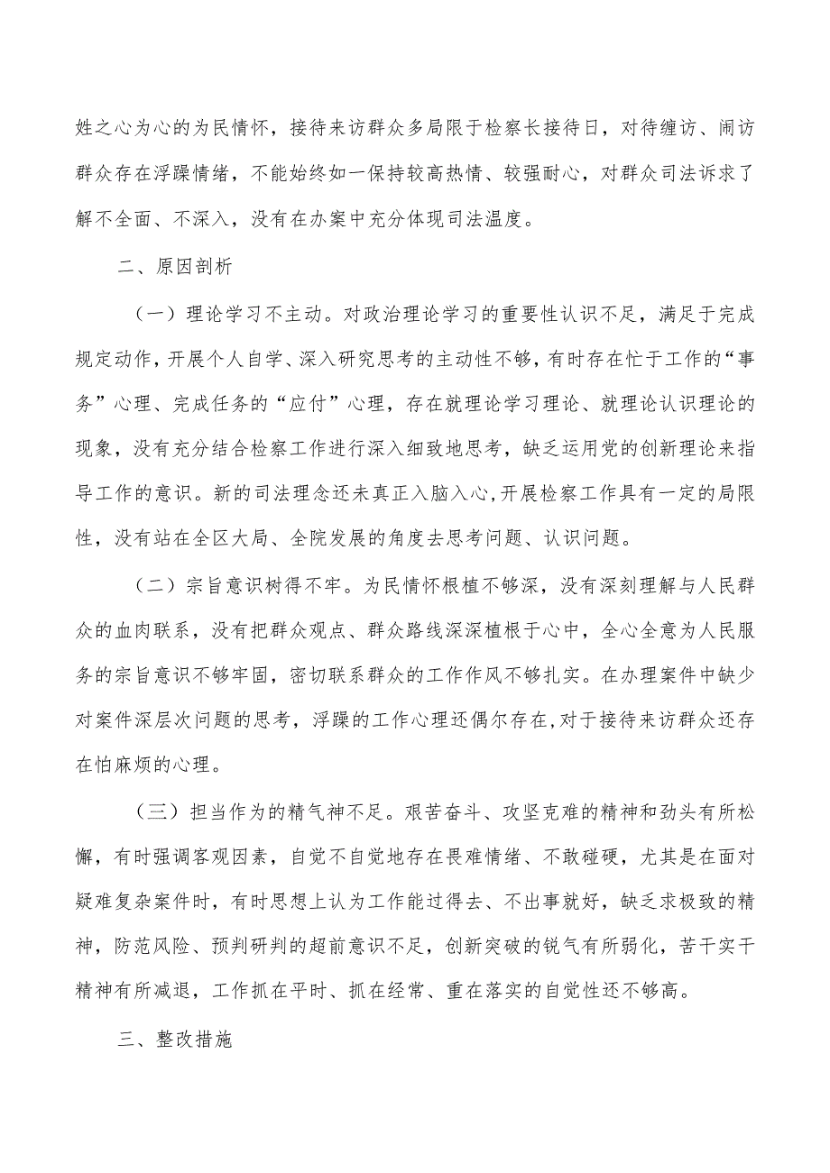 检察院23年个人发言提纲检查.docx_第2页