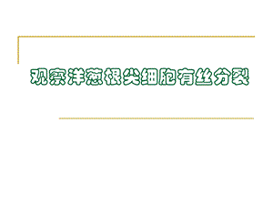 观察洋葱根尖细胞的有丝分裂.ppt