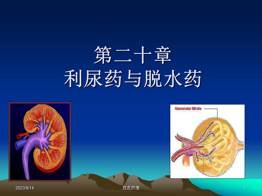 西医药理学第二十章利尿药和脱水药.ppt_第1页