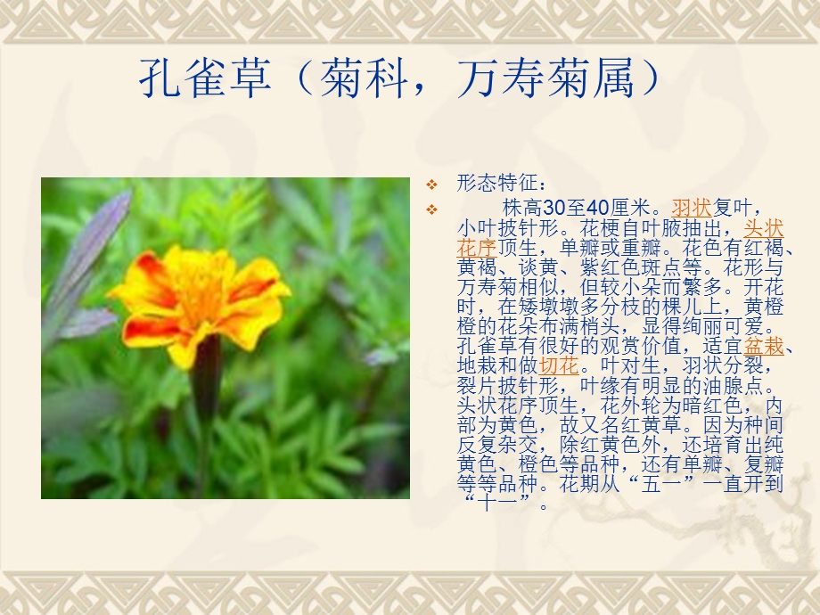 观赏植物栽培.ppt_第1页