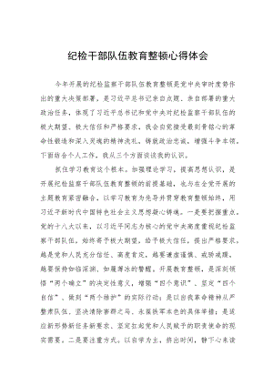 纪检干部队伍教育整顿学习体会(九篇).docx