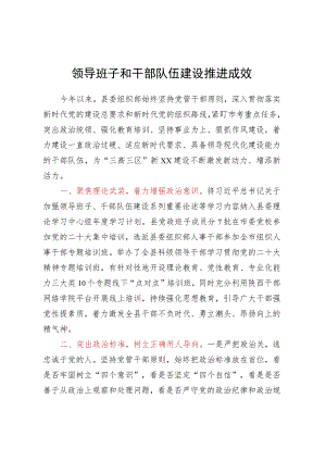 领导班子和干部队伍建设推进成效.docx