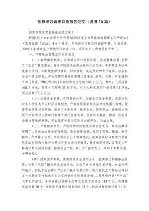 预算绩效管理自查报告范文（通用15篇）.docx