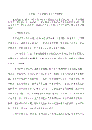 公司班子六个方面检查材料发言提纲.docx