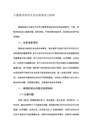 主题教育组织生活会检视发言材料.docx