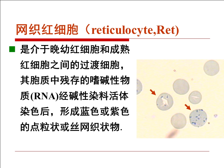 网织红细胞计数.ppt_第3页