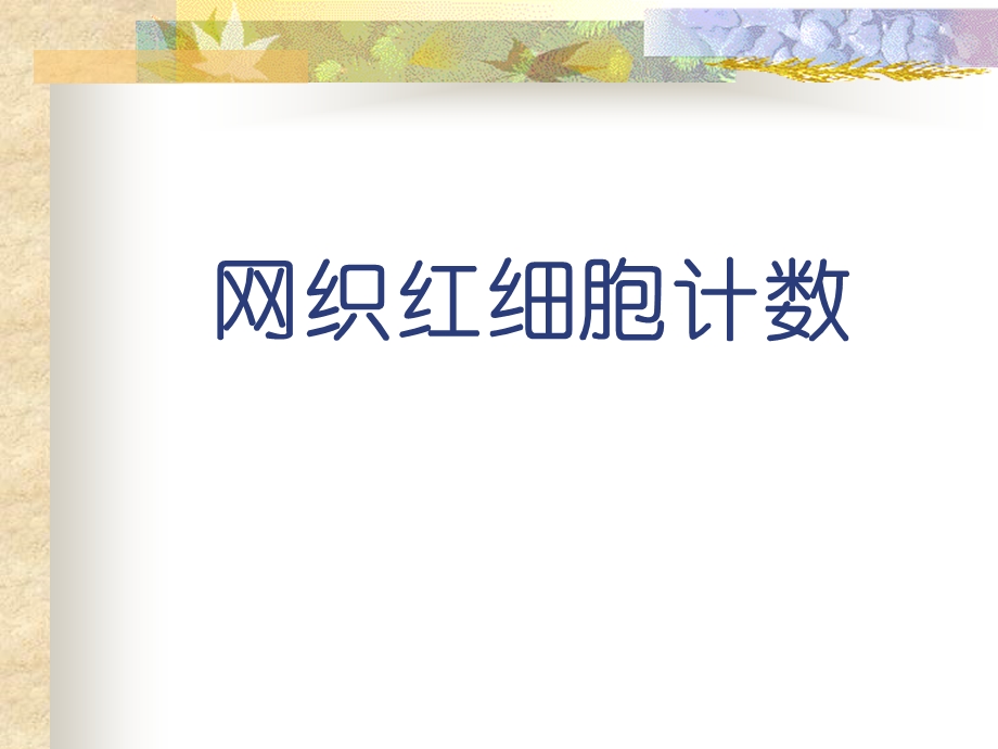 网织红细胞和血型测定.ppt_第3页