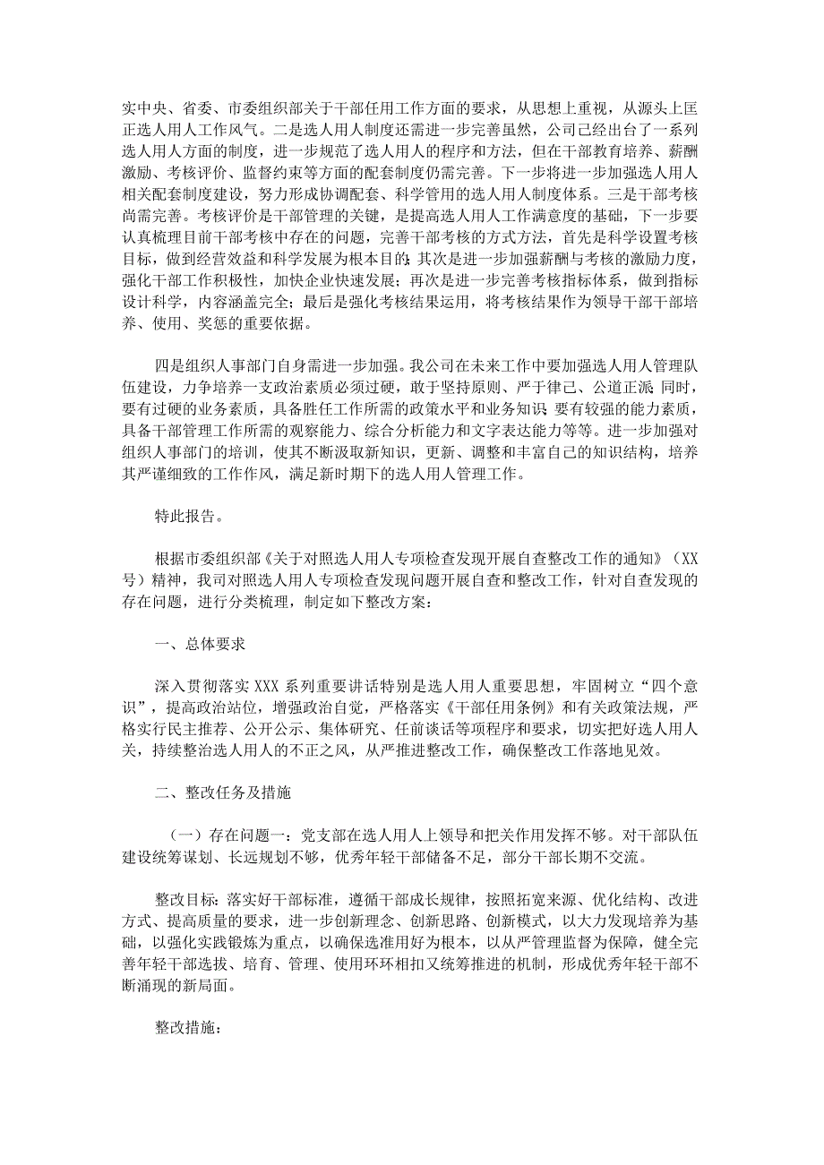 选人用人方面存在的问题及整改措施_2.docx_第3页