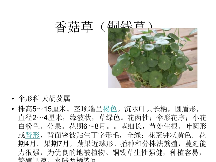 观赏植物学1.ppt_第3页