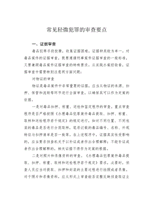 常见轻微犯罪的审查要点.docx