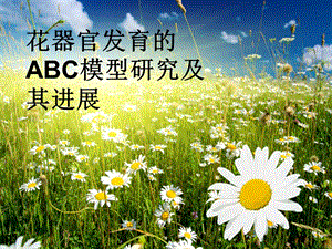 花器官的ABC模型.ppt