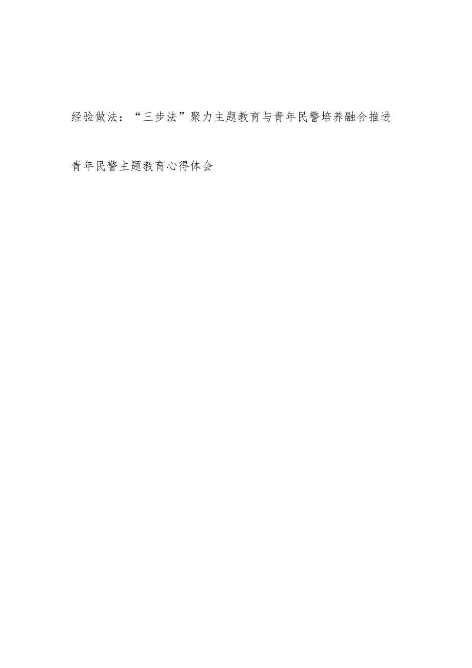 公安系统党总支“学思想、强党性、重实践、建新功”主题教育经验做法和青年民警主题教育心得体会.docx_第1页