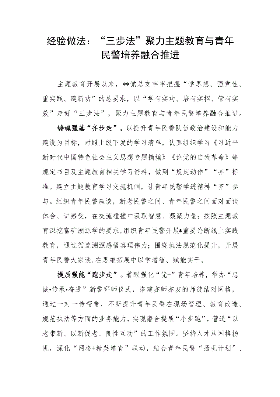 公安系统党总支“学思想、强党性、重实践、建新功”主题教育经验做法和青年民警主题教育心得体会.docx_第2页