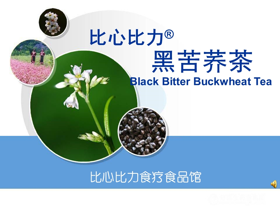 苦荞茶标准资料1.ppt_第1页