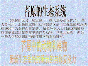 苔原的生态系统.ppt