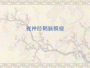 视神经鞘脑膜瘤.ppt