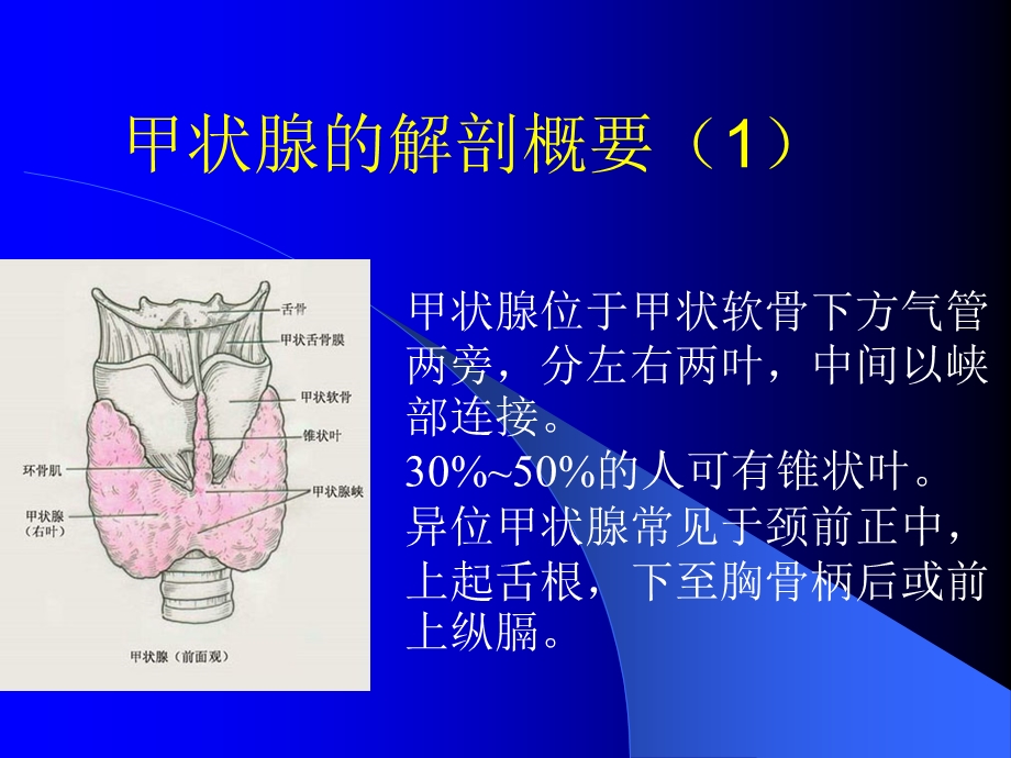 规范甲状腺检查.ppt_第3页