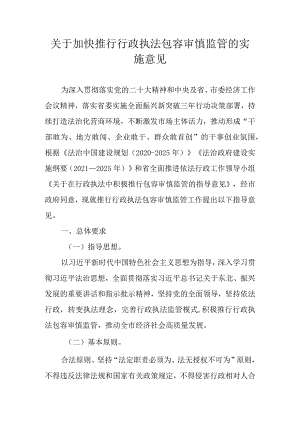 关于加快推行行政执法包容审慎监管的实施意见.docx