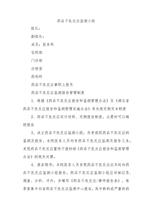 药品不良反应监测小组.docx