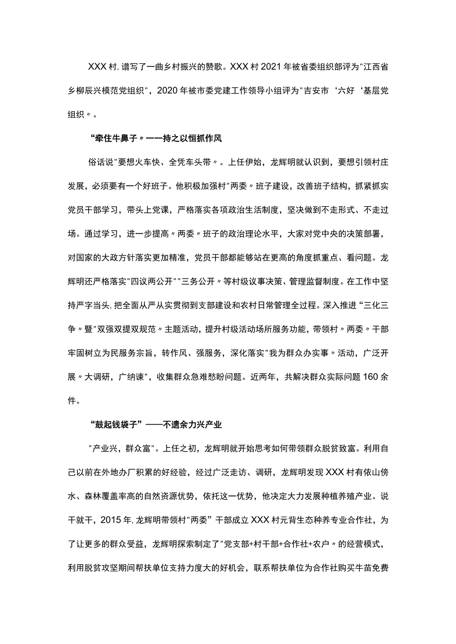 【典型事迹】乡村振兴领头雁 担当作为好支书.docx_第1页