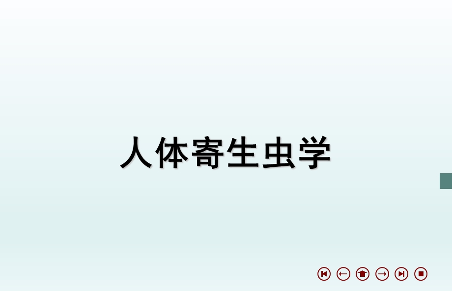 蠕形住肠线虫.ppt_第1页