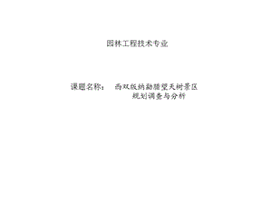 西双版纳望天树热带雨林主题公园.ppt