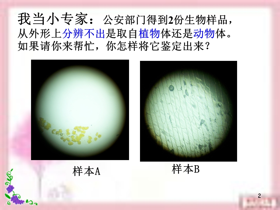 观察动物细胞753.ppt_第2页