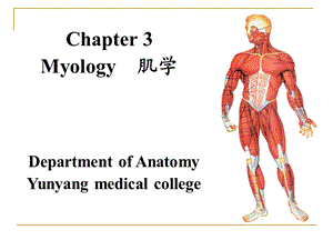 解破学06myology1.ppt