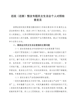 巡视（巡察）整改专题民主生活会个人对照检查发言.docx