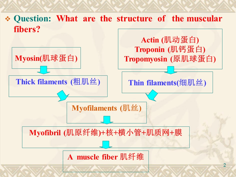 解破学21总论.ppt_第2页