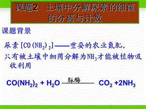 课题2土壤中分解尿素的细菌的分离与计数.ppt