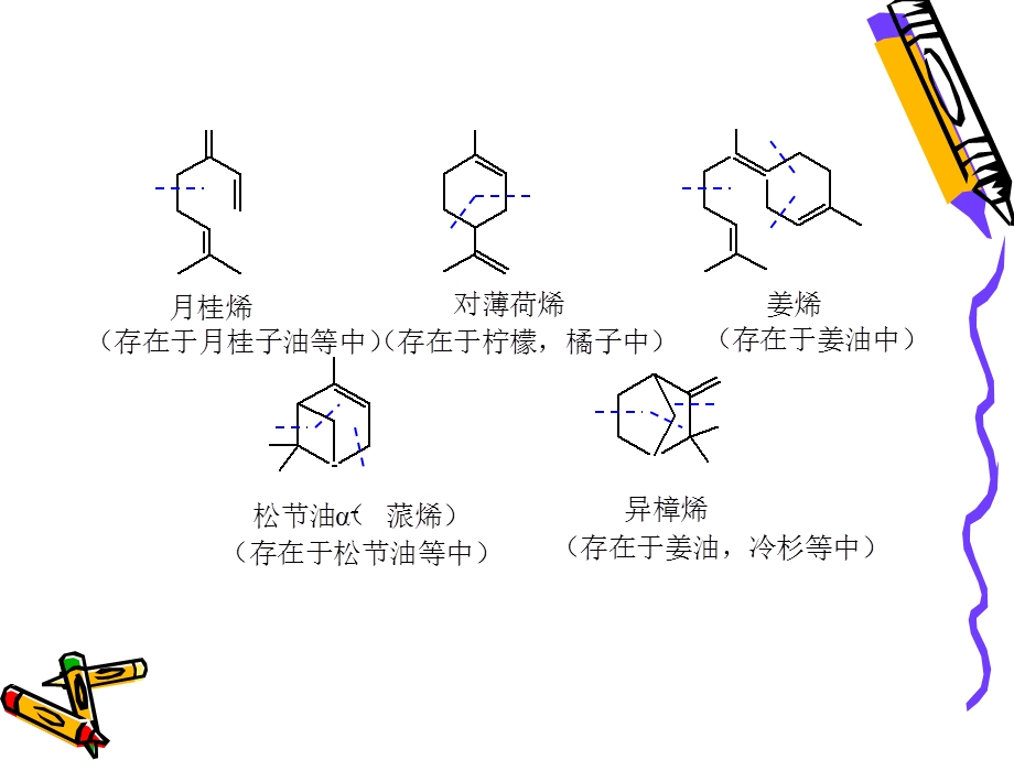 萜类和甾类化合物.ppt_第3页