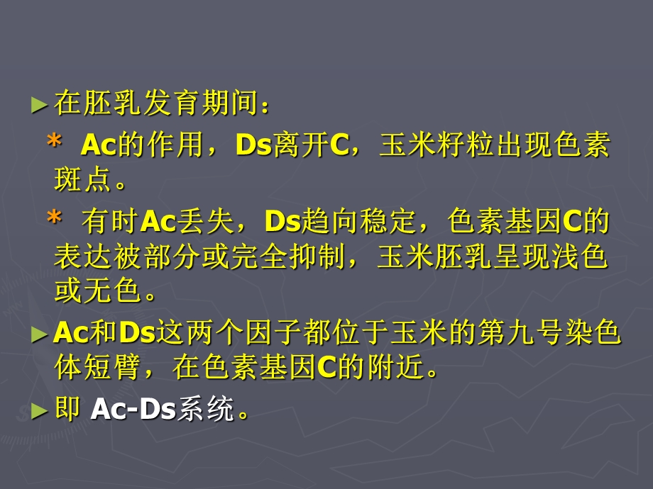 转座因子遗传课件.ppt_第3页