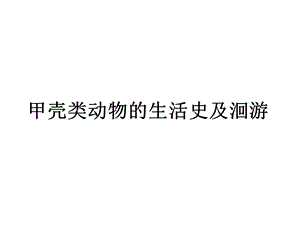 虾蟹的生活史及洄游.ppt