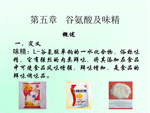 谷氨酸与味精.ppt