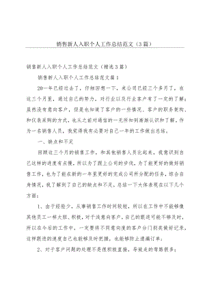 销售新人入职个人工作总结范文（3篇）.docx