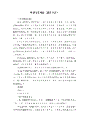 干部考察报告（通用5篇）.docx