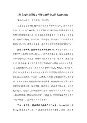 2篇在巡回指导组总结评估座谈会上的发言稿范文.docx