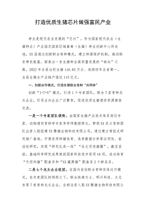 打造优质生猪芯片做强富民产业.docx