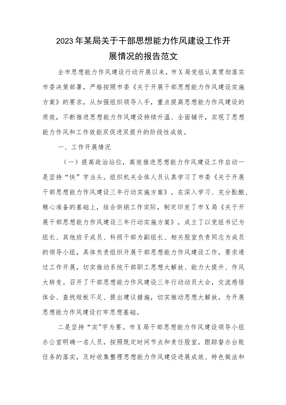 2023年某局关于干部思想能力作风建设工作开展情况的报告范文.docx_第1页