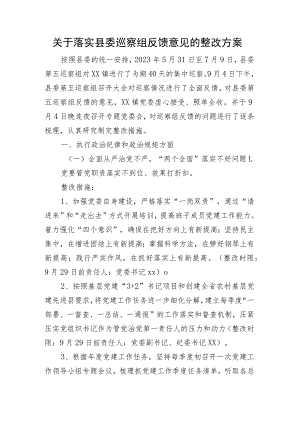 落实巡视组反馈意见整改方案.docx