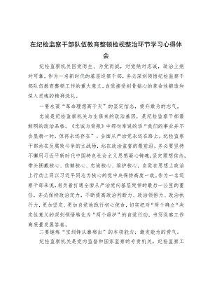 在纪检监察干部队伍教育整顿检视整治环节学习心得体会.docx