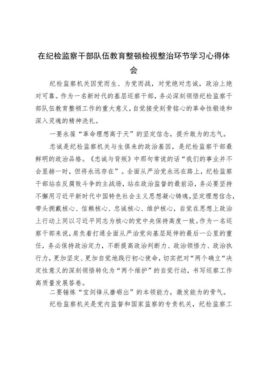 在纪检监察干部队伍教育整顿检视整治环节学习心得体会.docx_第1页