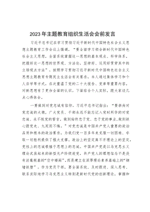 2023年主题教育组织生活会会前发言.docx