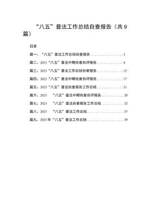 “八五”普法工作总结自查报告（共9篇）.docx