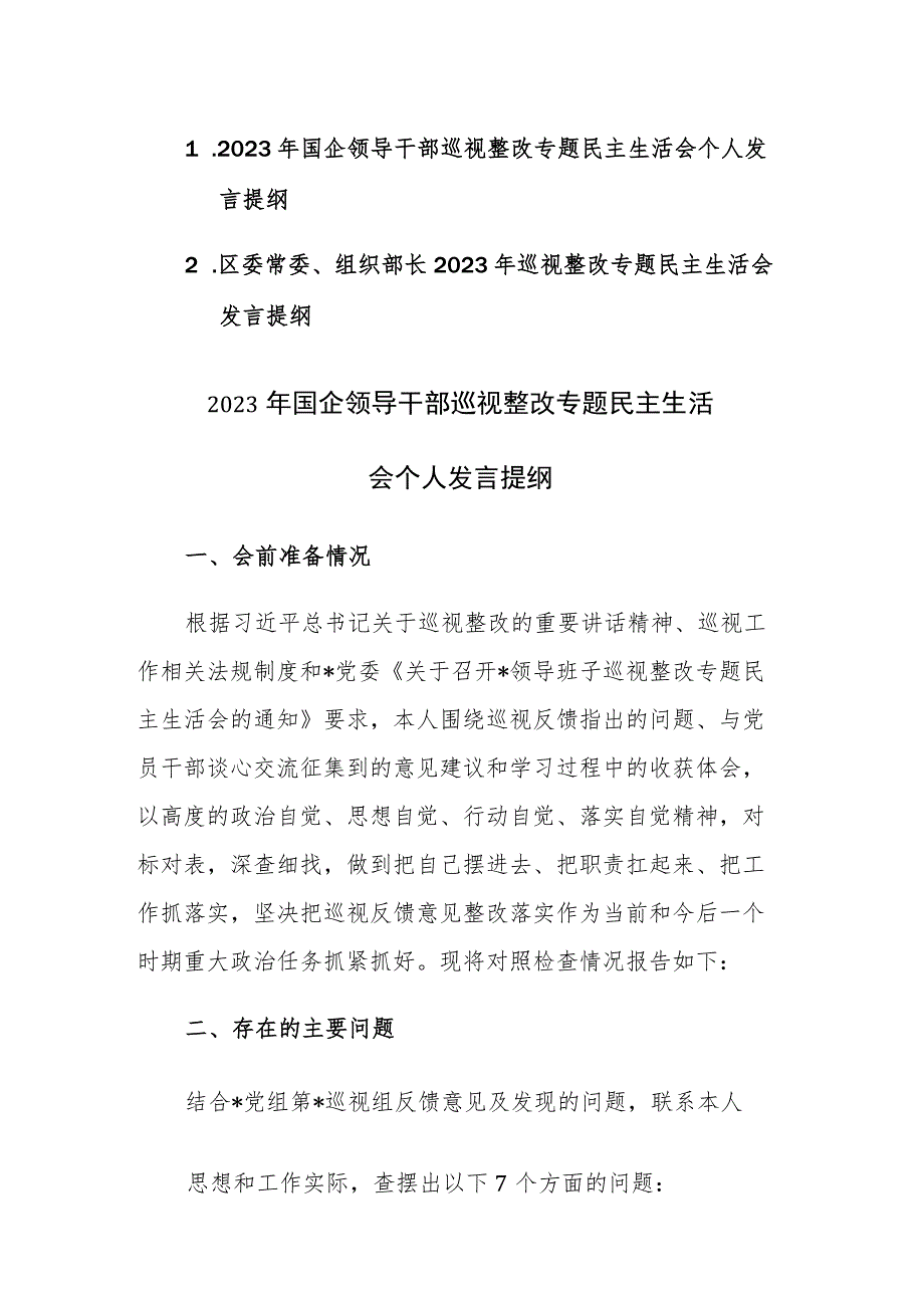 两篇：2023年领导干部巡视整改专题民主生活会个人发言提纲范文.docx_第1页