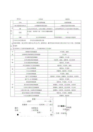 光合作用异同点.docx