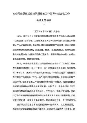 党委书记在公司党委巡视反馈问题整改工作领导小组会议工作会议上的讲话.docx