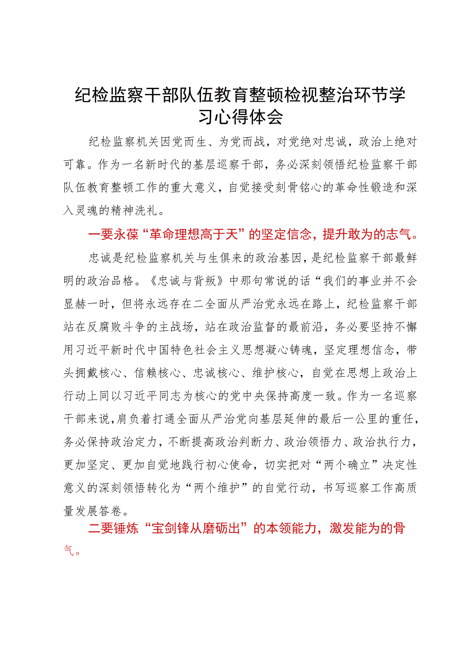 纪检监察干部队伍教育整顿检视整治环节学习心得体会.docx_第1页